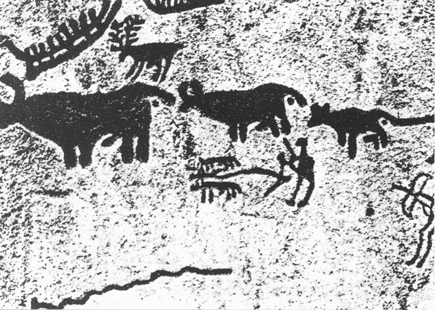 Gespann_Haustiere_Wildtier