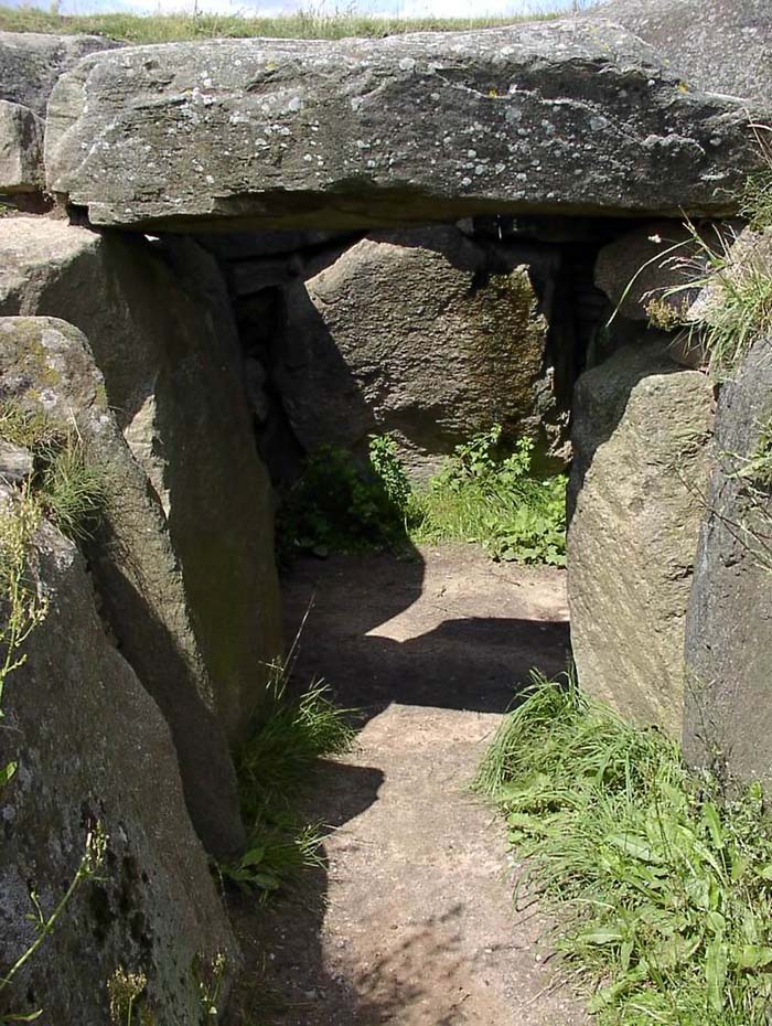 TustrupJaettestue 18