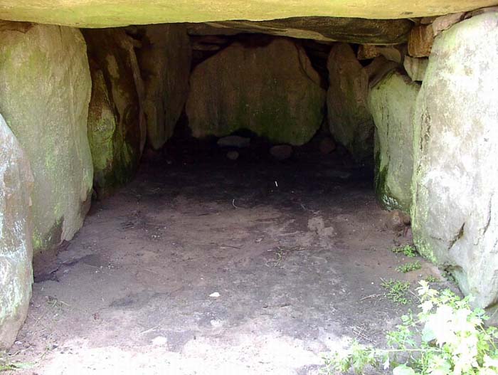 TustrupJaettestue 21