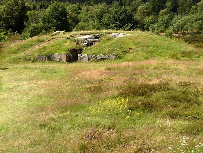 TustrupJaettestue 13